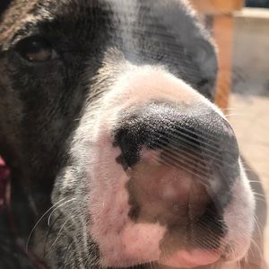 Meet your Posher, Karen